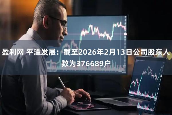 盈利网 平潭发展：截至2026年2月13日公司股东人数为376689户
