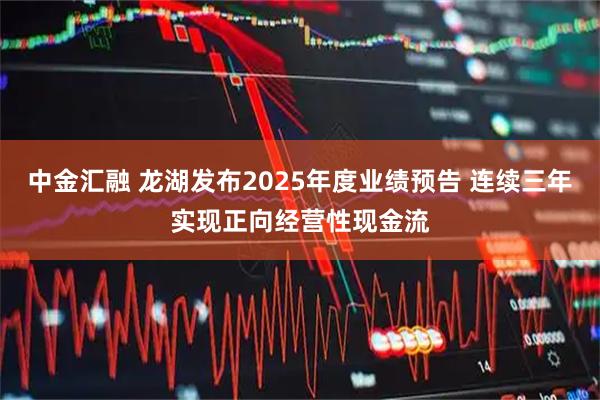 中金汇融 龙湖发布2025年度业绩预告 连续三年实现正向经营性现金流