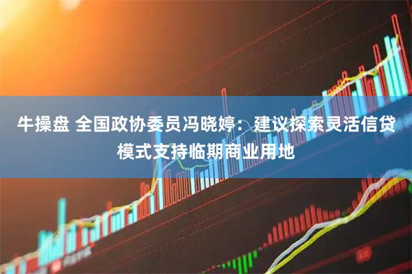 牛操盘 全国政协委员冯晓婷:建议探索灵活信贷模式支持临期商业用地