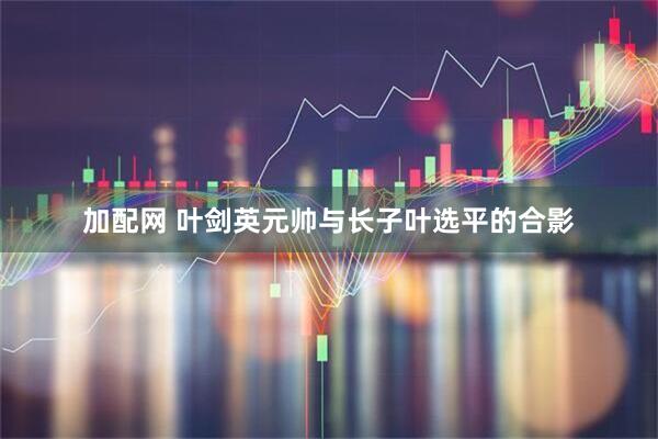 加配网 叶剑英元帅与长子叶选平的合影