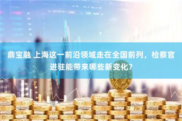 鼎宝融 上海这一前沿领域走在全国前列，检察官进驻能带来哪些新变化？