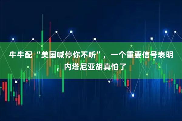 牛牛配 “美国喊停你不听”，一个重要信号表明，内塔尼亚胡真怕了