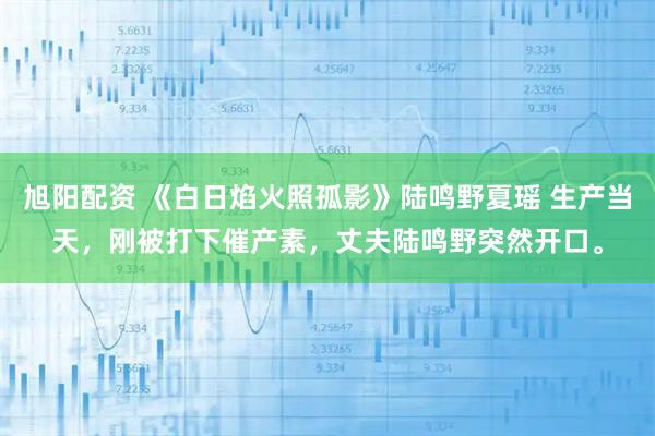 旭阳配资 《白日焰火照孤影》陆鸣野夏瑶 生产当天，刚被打下催产素，丈夫陆鸣野突然开口。