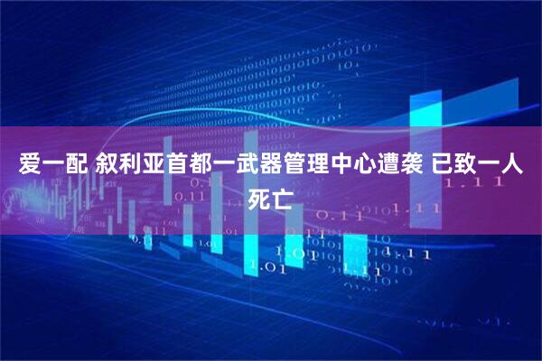爱一配 叙利亚首都一武器管理中心遭袭 已致一人死亡