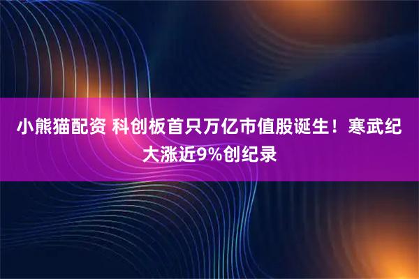 小熊猫配资 科创板首只万亿市值股诞生!寒武纪大涨近9%创纪录