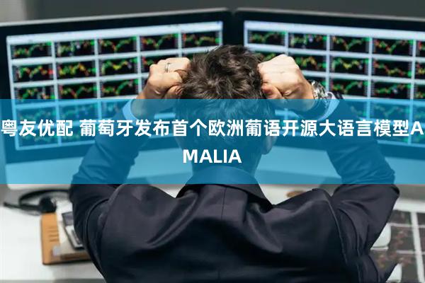 粤友优配 葡萄牙发布首个欧洲葡语开源大语言模型AMALIA