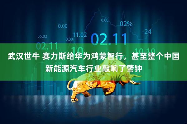 武汉世牛 赛力斯给华为鸿蒙智行，甚至整个中国新能源汽车行业敲响了警钟