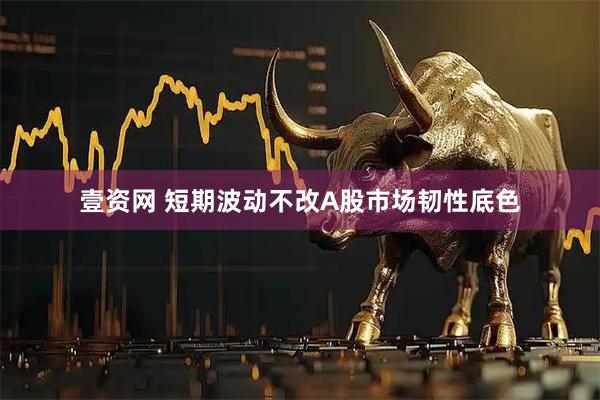 壹资网 短期波动不改A股市场韧性底色