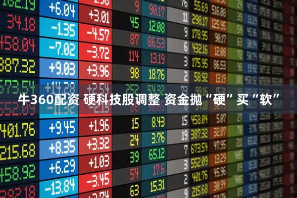 牛360配资 硬科技股调整 资金抛“硬”买“软”